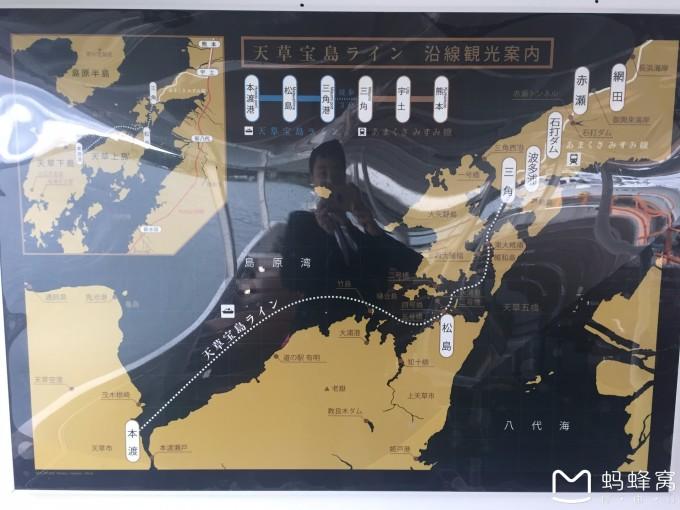 老虎能打过棕熊吗游戏画面